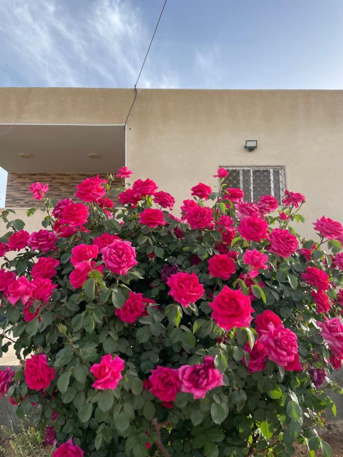 مزرعة النجم Najem Farm Villa Al-Qasr Kültér fotó